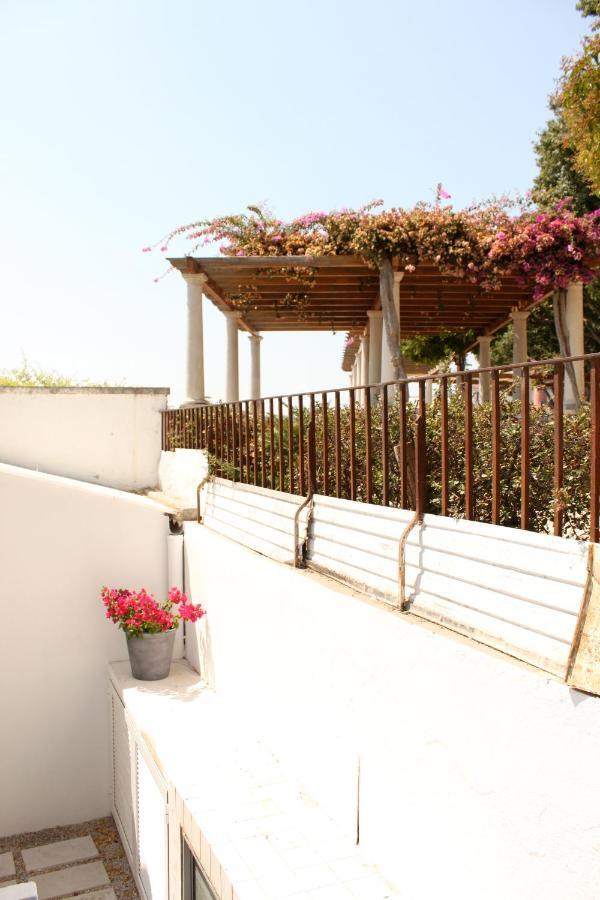 Miradouro'S Loft Διαμέρισμα Σετούμπαλ Εξωτερικό φωτογραφία